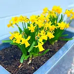 Familienfreundliches In 5 Min Zum Mit Terrasse Und Kostenlosem Parkplatz *