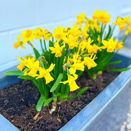 Familienfreundliches In 5 Min Zum Mit Terrasse Und Kostenlosem Parkplatz *