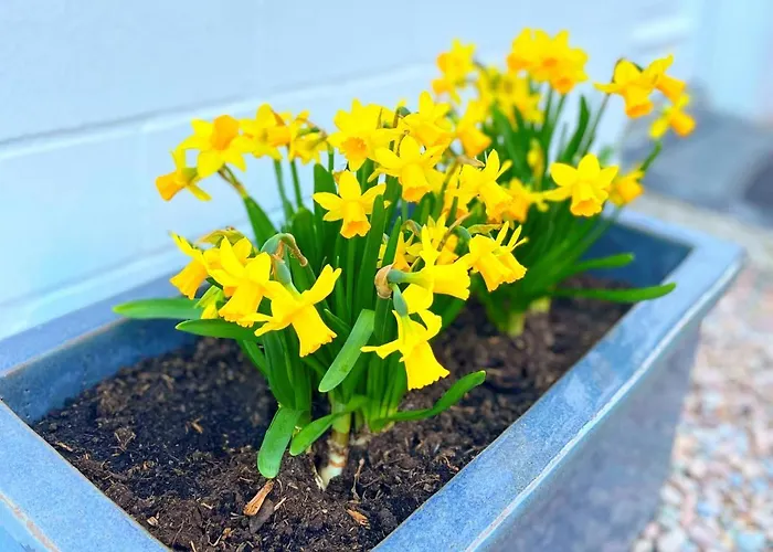 Familienfreundliches In 5 Min Zum Mit Terrasse Und Kostenlosem Parkplatz *